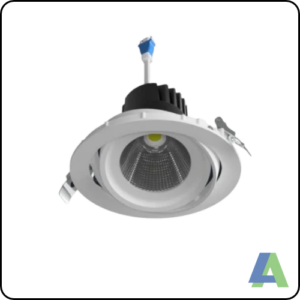 gina r 2026